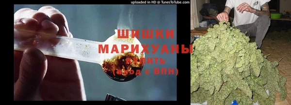 крисы Осташков